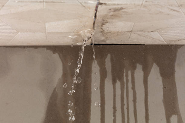 Professional Water Damage Restoration technician working in Powder Springs, TN